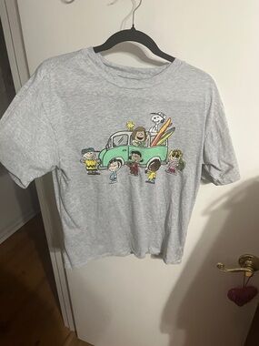 🧡 Small Peanuts Grey Graphic Tee Mint Truck and Colorful Surfboards - Peanuts